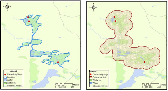 Figure 7: Two maps showing an example of how critical habitat gets marked along a brook (these maps are illustrations only). Both maps are of the same brook. The map on the left shows all the sightings in the area and the outline of the brook and its associated wetlands, up and down-stream 200m from the sightings. The map on the right shows the identified critical habitat, which includes all of the wetlands that fall within the outlined location (the brook) in this example. The map shows that all of the sightings found in this area fall within the critical habitat.
