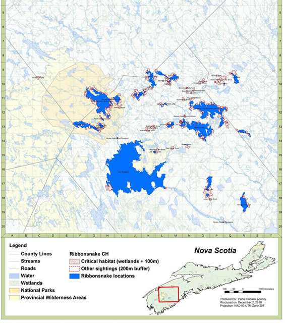 Figure 8: Critical habitats identified for eastern ribbonsnake in Nova Scotia (as of April 2010). A full resolution version of this map can be obtained below.