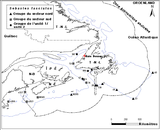 Carte illustrant la localité des groupes génétiques de sébastes d’Acadie de l’unité désignable proposée de l’Atlantique et la localité de l’unité désignable proposée de la baie Bonne.