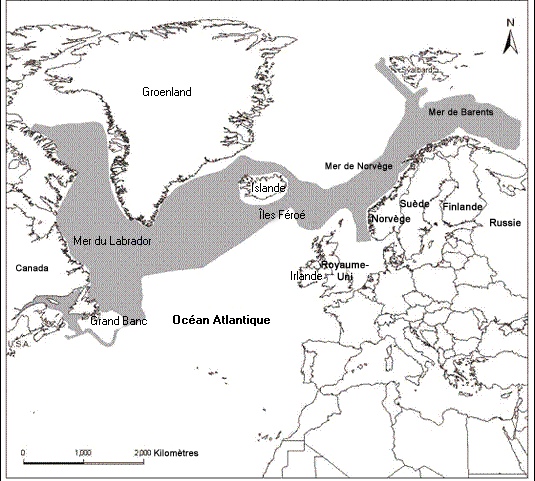 Carte indiquant la baie Bonne sur l’île de Terre-Neuve.