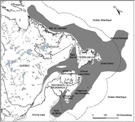 Carte illustrant la répartition mondiale du sébaste d’Acadie. 