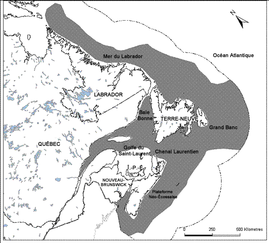 Carte illustrant la répartition canadienne du sébaste d’Acadie.