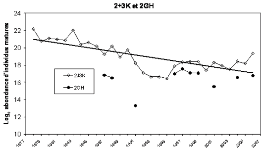 Graphique indiquant l’abondance des sébastes atlantiques matures dans 2J3K et 2GH, unité désignable du Nord, selon les relevés.