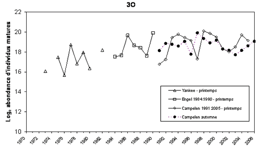Graphique indiquant l’abondance des sébastes d’Acadie matures dans 3O, selon les relevés.