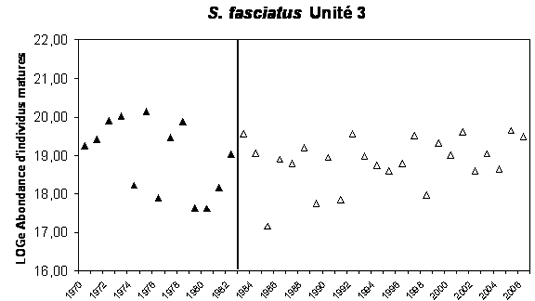 Graphique indiquant l’abondance des sébastes d’Acadie matures dans l’unité 3, plateforme Néo Écossaise, selon les relevés.
